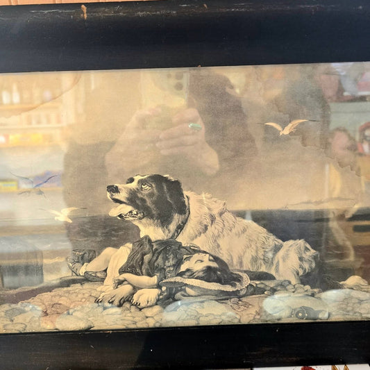 Vintage Dog Art
